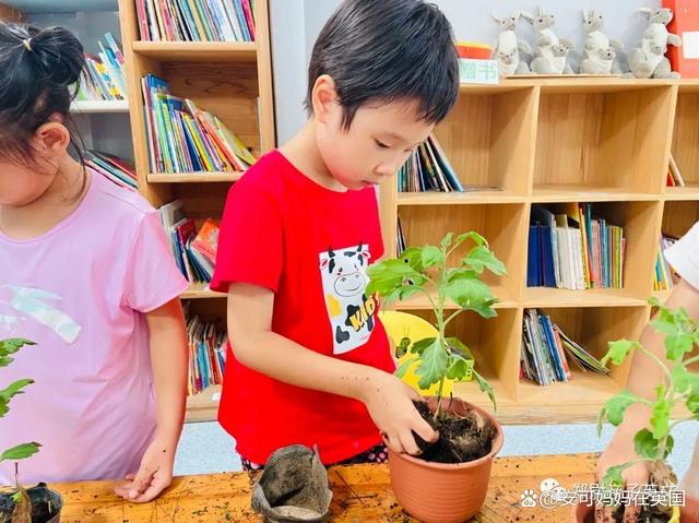 不上培训班,5岁女孩流利自主阅读RAZI级别!这样带娃英语启蒙~