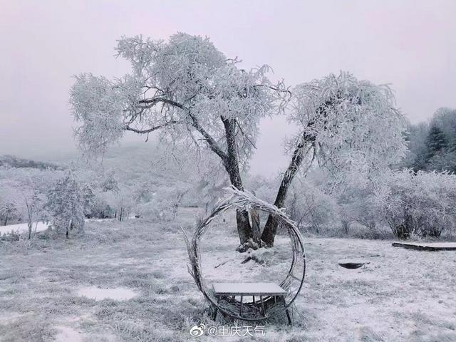 重庆多地下雪了!中心城区好久下丨重庆市大学英语四、六级考试...